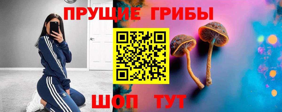 Знаменск  Псилоцибиновые грибы мухоморы  магазин продажи наркотиков  Вход с VPN 
