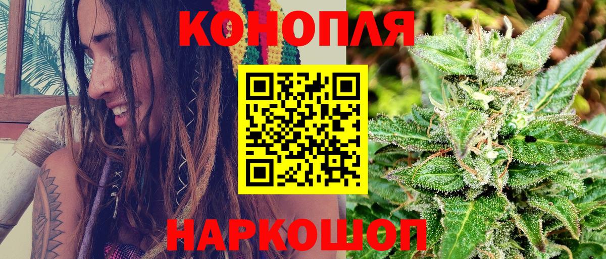 Канабис конопля Знаменск